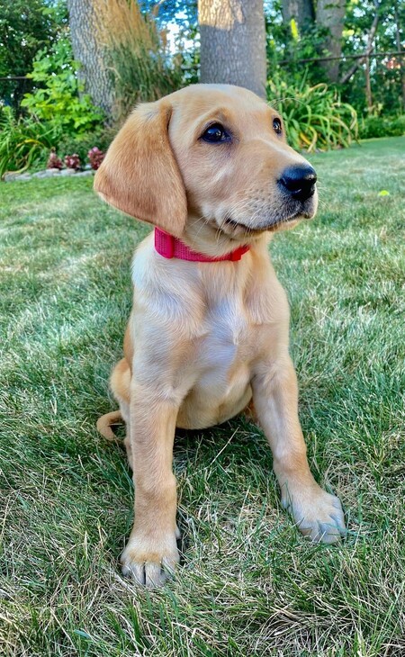 Betty