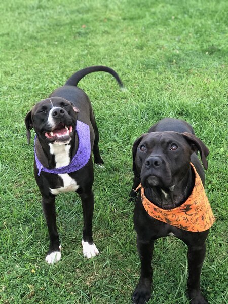 Ash & Athena