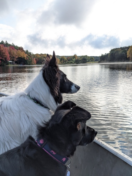 Sage and Logan