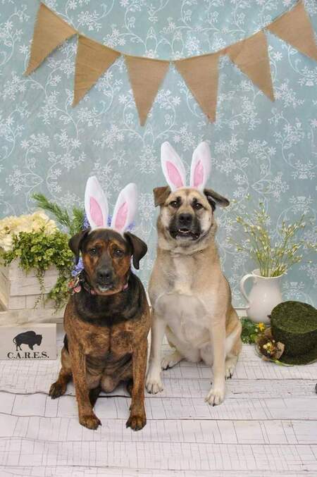 Shilo and Holly