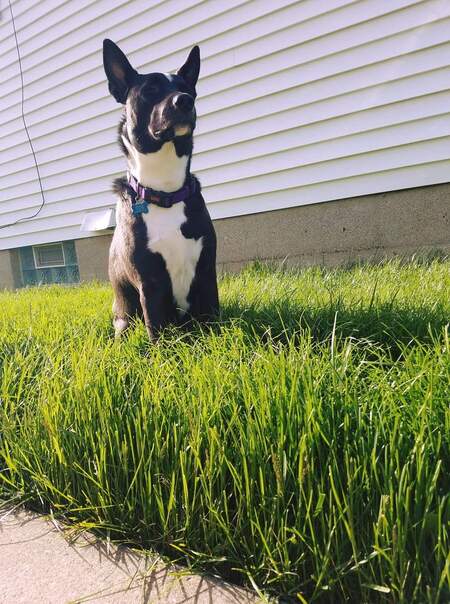 Astro