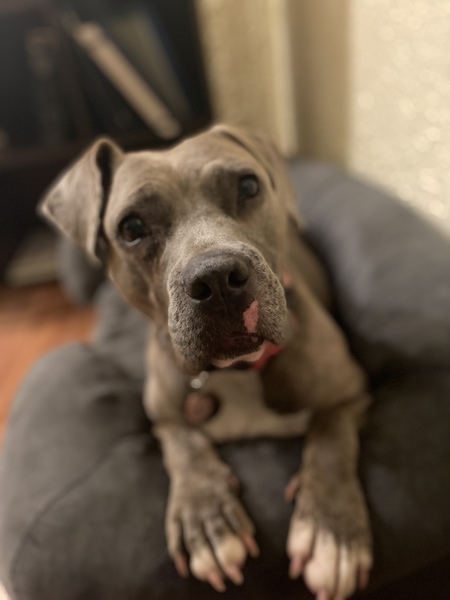 Rosie 