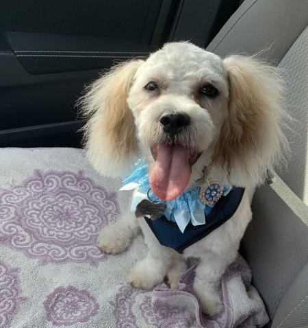 Einstein