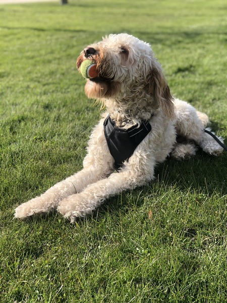 Tucker