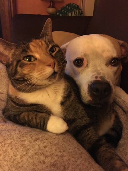 Euki & Brooklynn