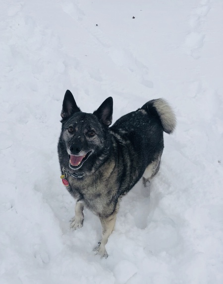 Lucy