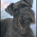 Entry image for Andrew