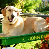 Entry image for JD