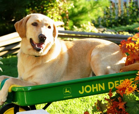Entry image for JD. Clicking this image will show a larger photo