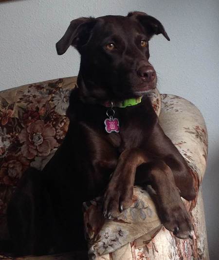 Lola