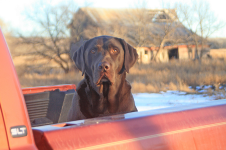 Rusty P. Brown