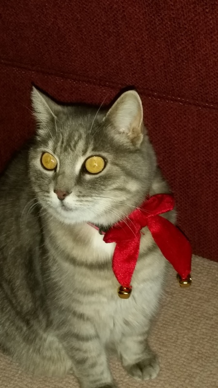 Lily