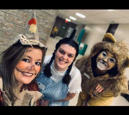 Follow the Yellow Brick Road