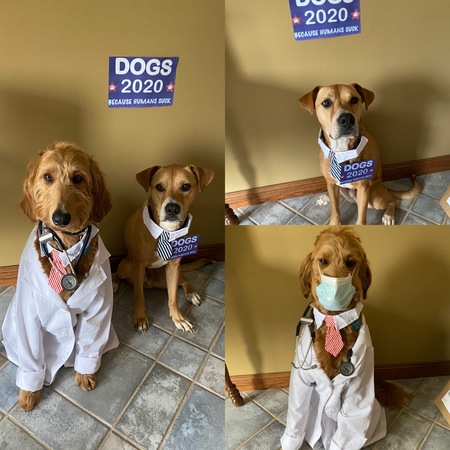 PresidenTAIL candidate Leo and his running mate DOGtor (Oliver) Fauci
