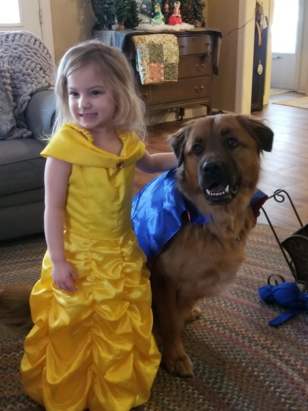 Beauty and the Aurthur