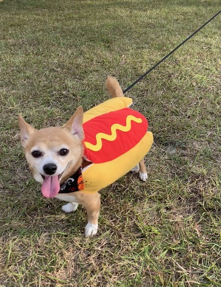 Oscar