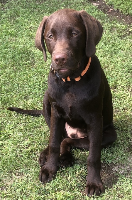 Archer