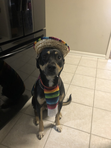 Señor Jaxon