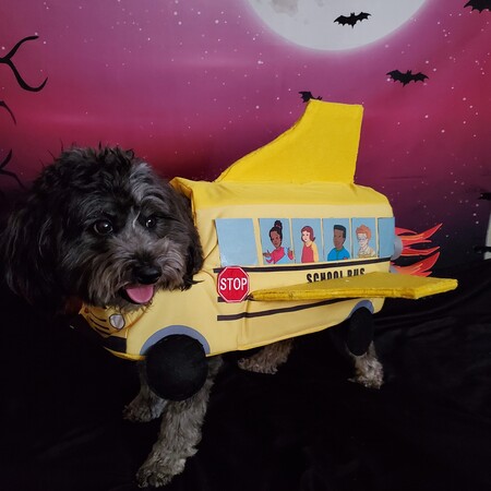 Willow as the Magic School Bus