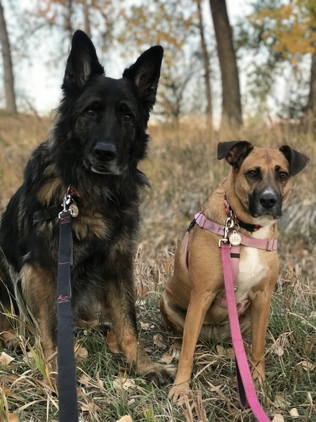 Apollo and Layla 