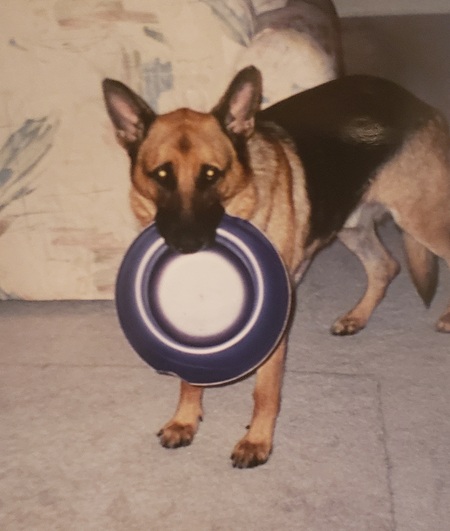 Zak