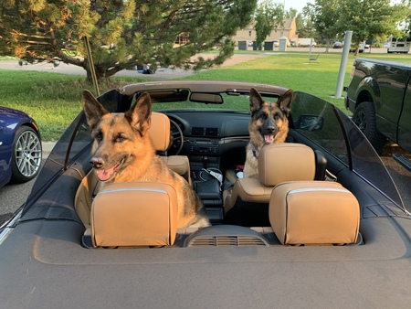 Marshall and Chase 
