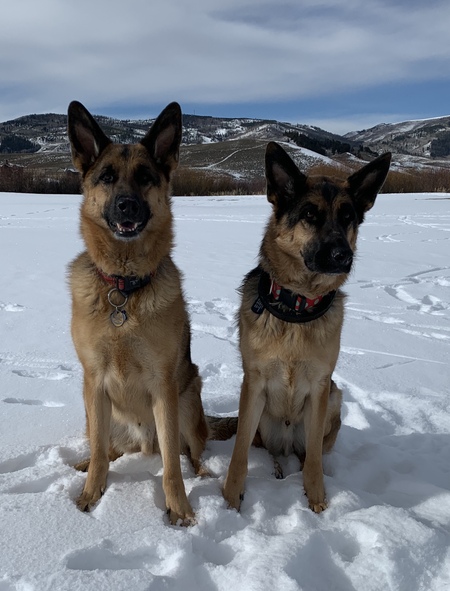 Marshall and Chase 