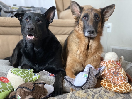 Onyx & Oaklee