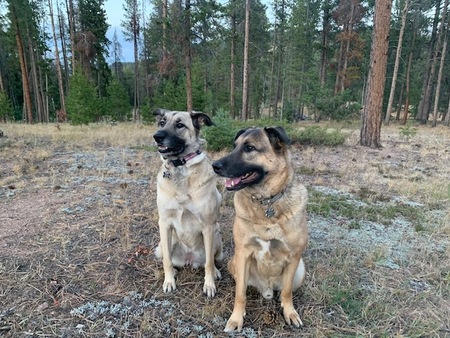 Jaxx and Koa 