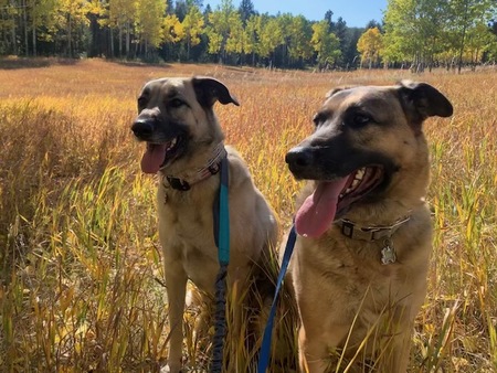 Jaxx and Koa 