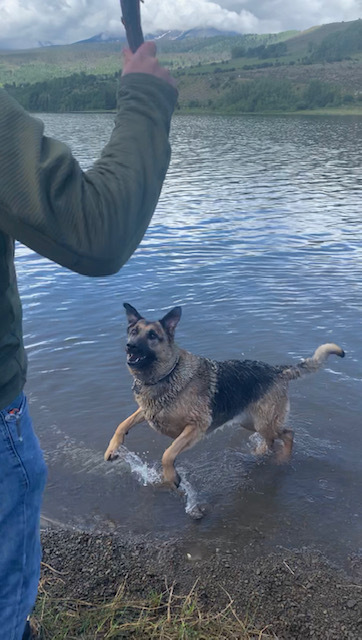 Jaxx