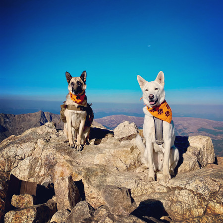 Kona & Gunner