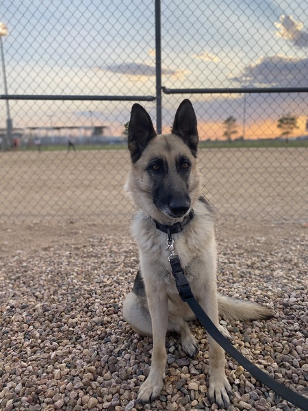 Kona