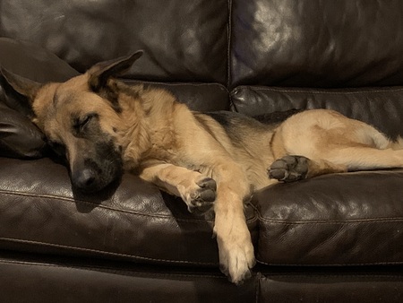 Milo