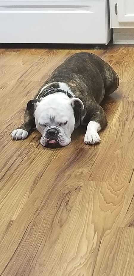 Louie