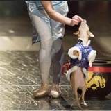 Entry image for Scarlet