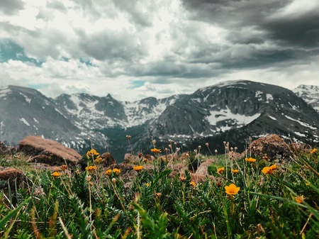 Rocky Mountain “Peak-a-Boo”