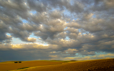 Sky Over Weston