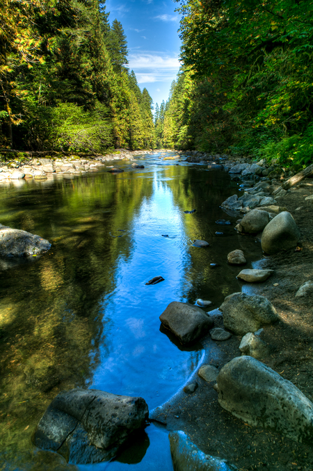 Downriver View, Salmon River, Oregon