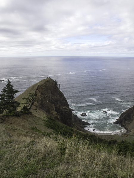 High Meadow Westwind Oregon Coast