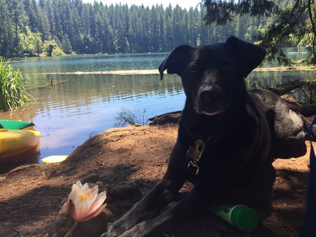 Jasmine at Battleground Lake