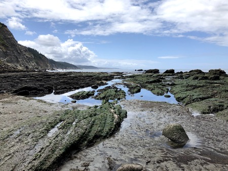 Infinite Tide Pool