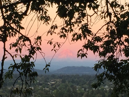 Rosey Hood View from Mt. Tabor