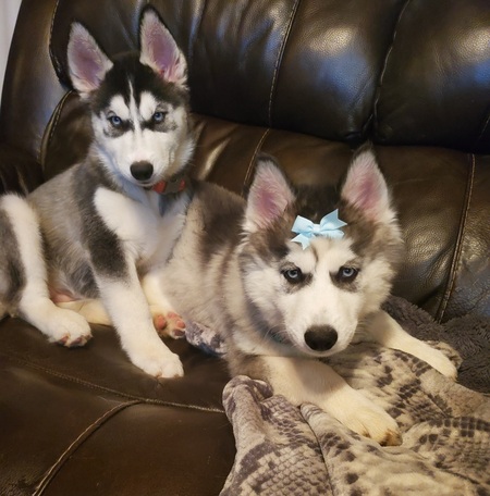 Stormie and Skyler