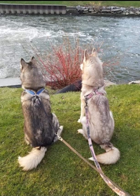 Tala and Kloie