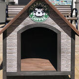 Entry image for Fried Color