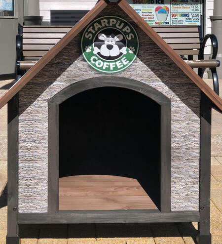 Entry image for Fried Color. Clicking this image will show a larger photo