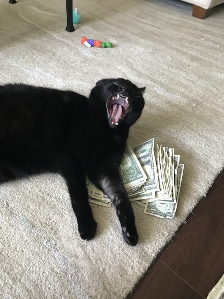 Loki