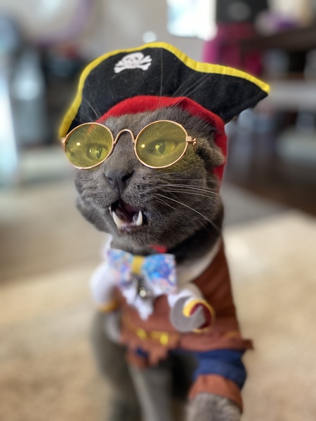 Hansel the Rogue Pirate