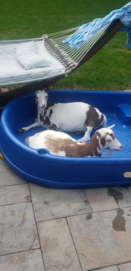 Zoey and Gwen